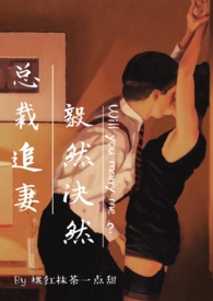 总裁追妻,毅然决然(1v1)